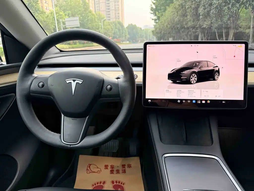 Tesla Model Y — миниатюра 15