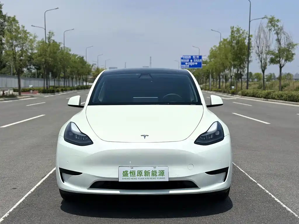 Tesla Model Y — фотографии объявления, Фото 15