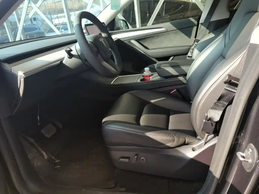 Tesla Model Y — миниатюра 15