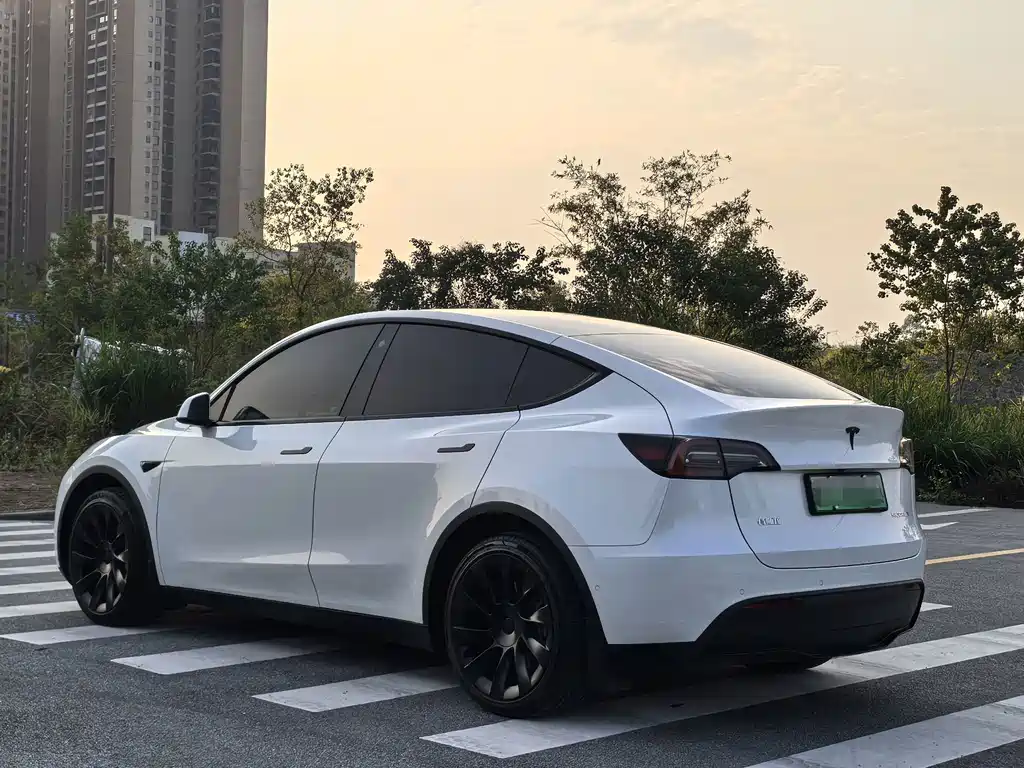 Tesla Model Y — миниатюра 3