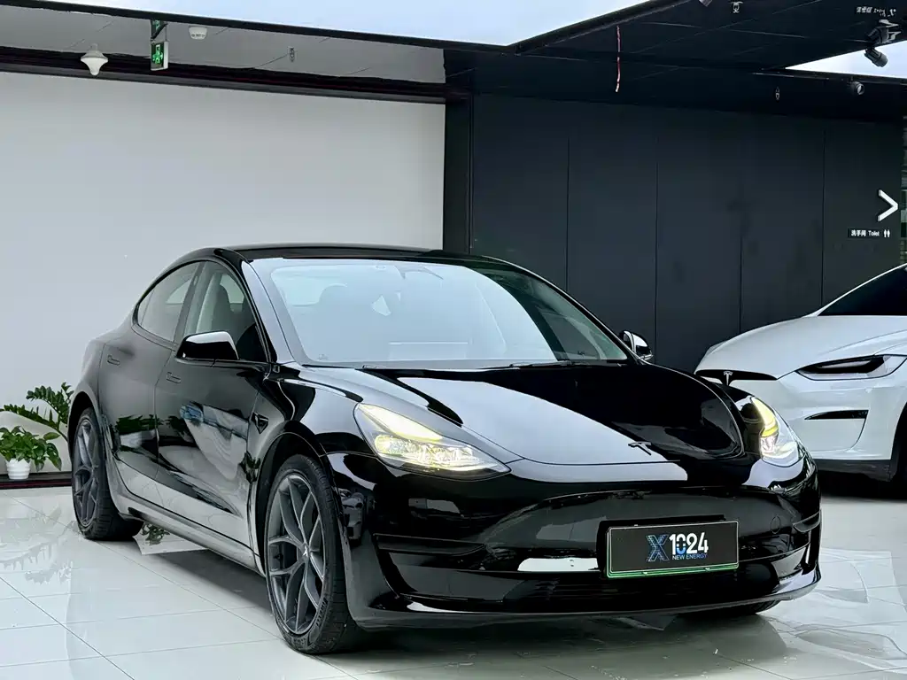 Tesla Model 3 — миниатюра 3