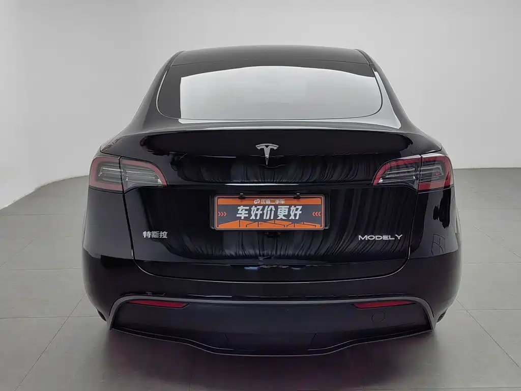 Tesla Model Y — миниатюра 4