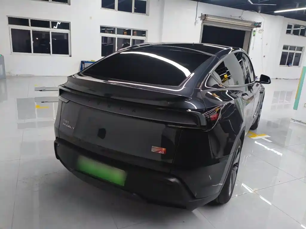 Tesla Model Y — миниатюра 7