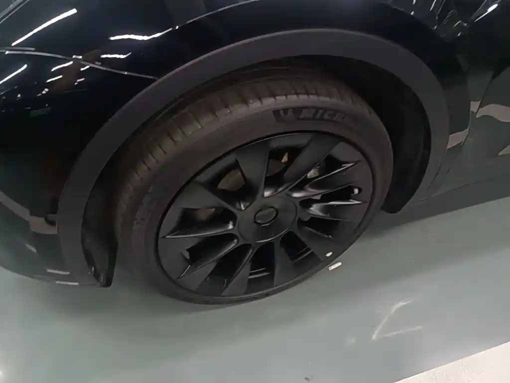 Tesla Model Y — миниатюра 23