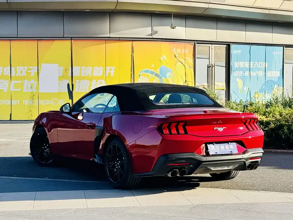Ford Mustang — миниатюра 3