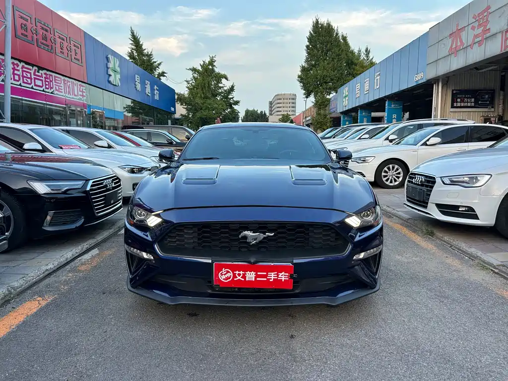 Ford Mustang — миниатюра 2