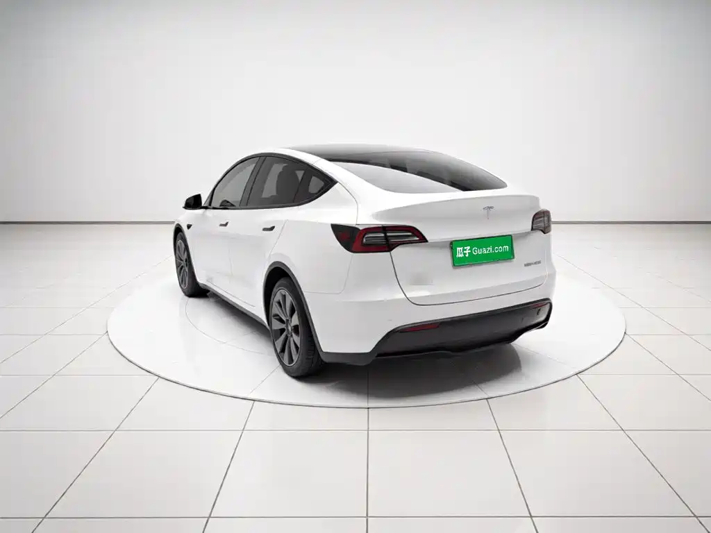 Tesla Model Y — миниатюра 4