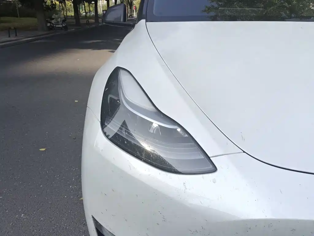 Tesla Model Y — миниатюра 7