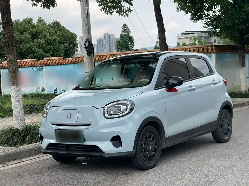 Leapmotor T03 2025 310