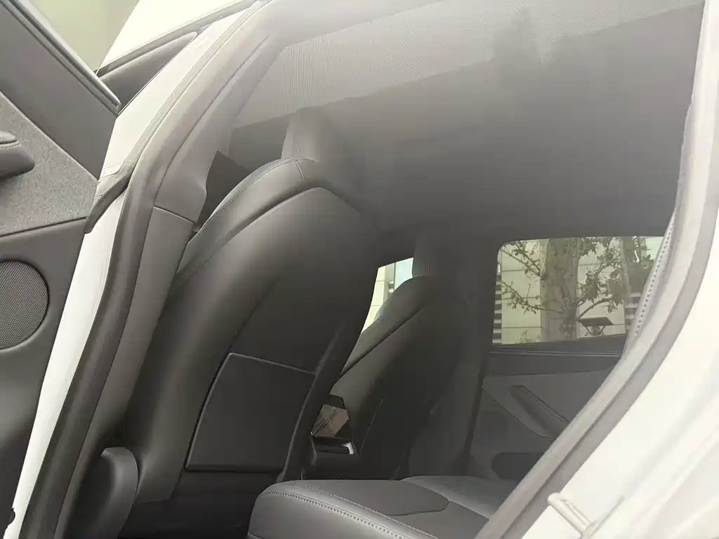 Tesla Model Y — миниатюра 10