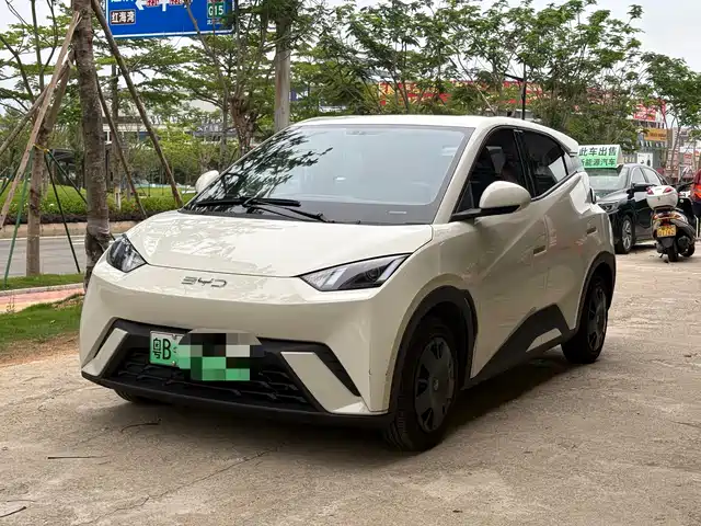 2024 BYD Seagull