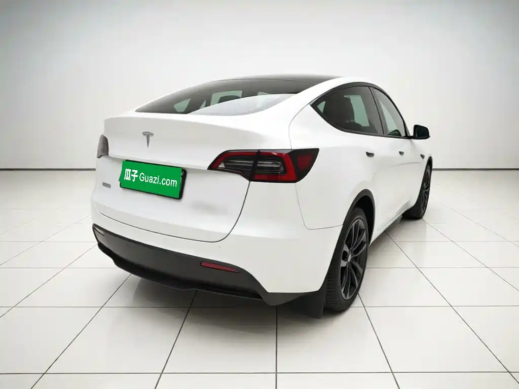 Tesla Model Y — миниатюра 6