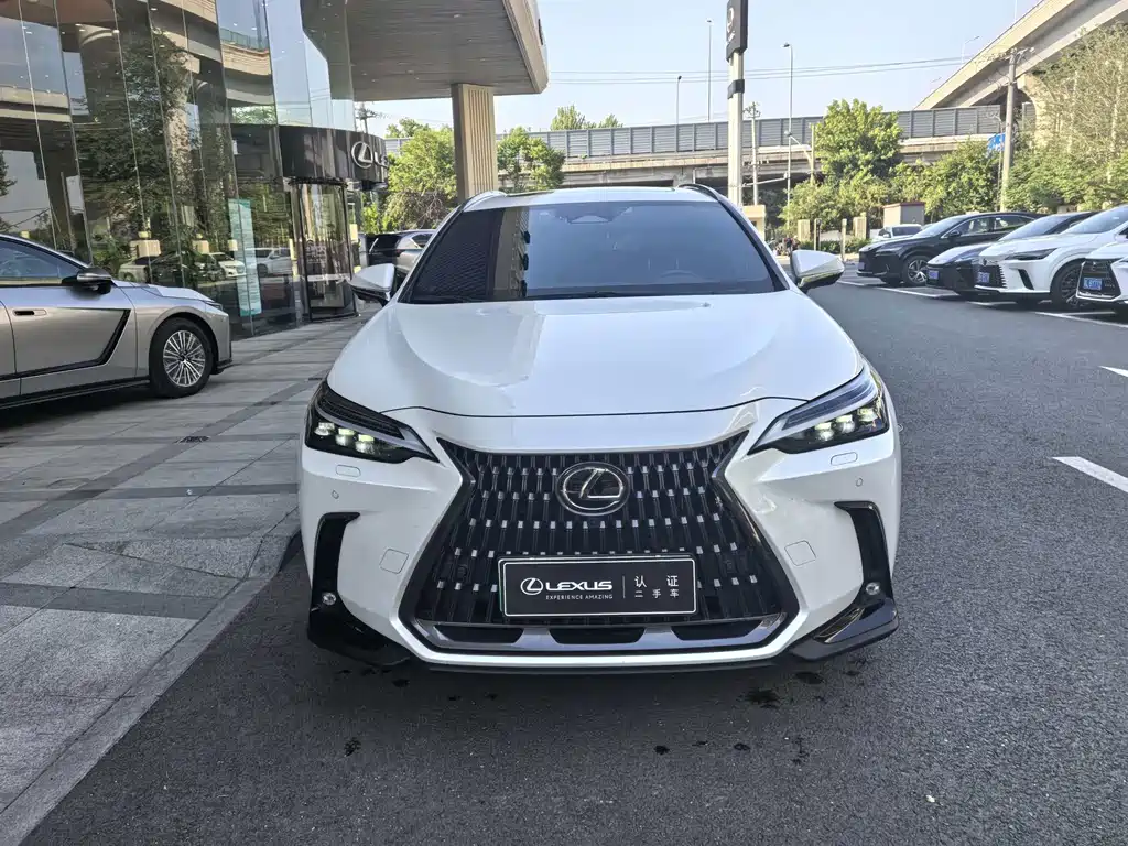 Lexus NX New Energy — миниатюра 8