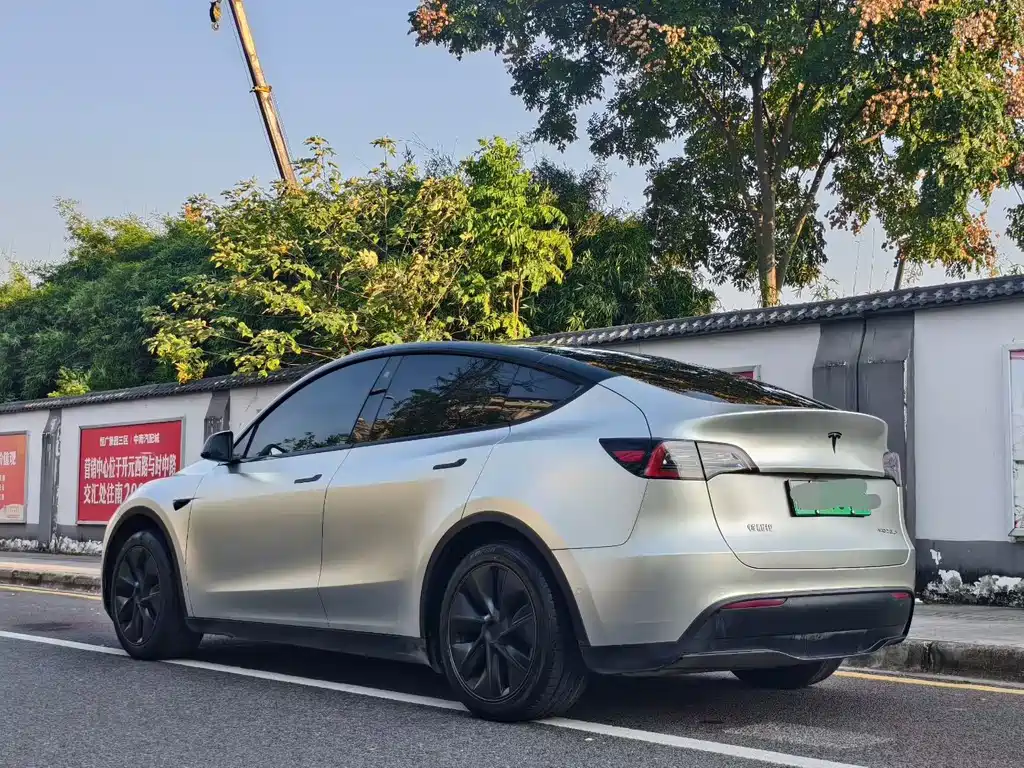 Tesla Model Y — миниатюра 7
