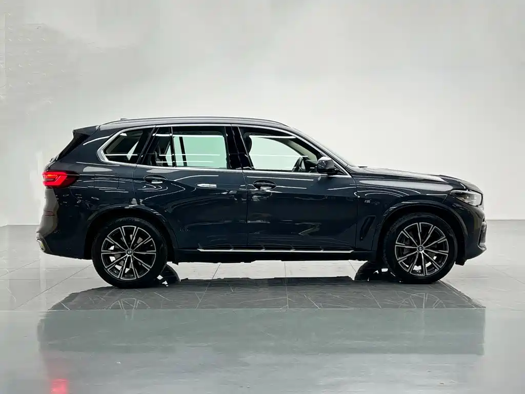 BMW X5 New Energy (Import) — миниатюра 7