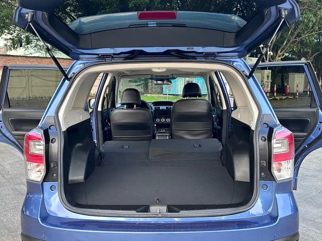 Subaru Forester — миниатюра 11