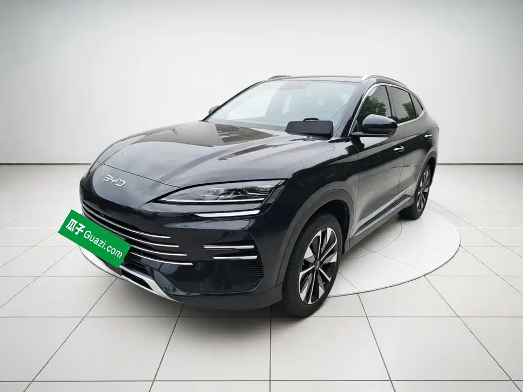 BYD PLUS New Energy