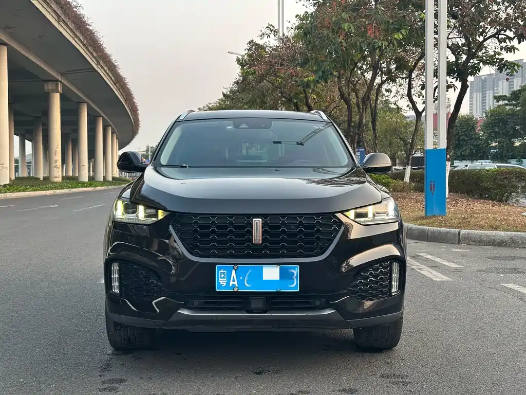 WEI PAI WEI BRAND VV6