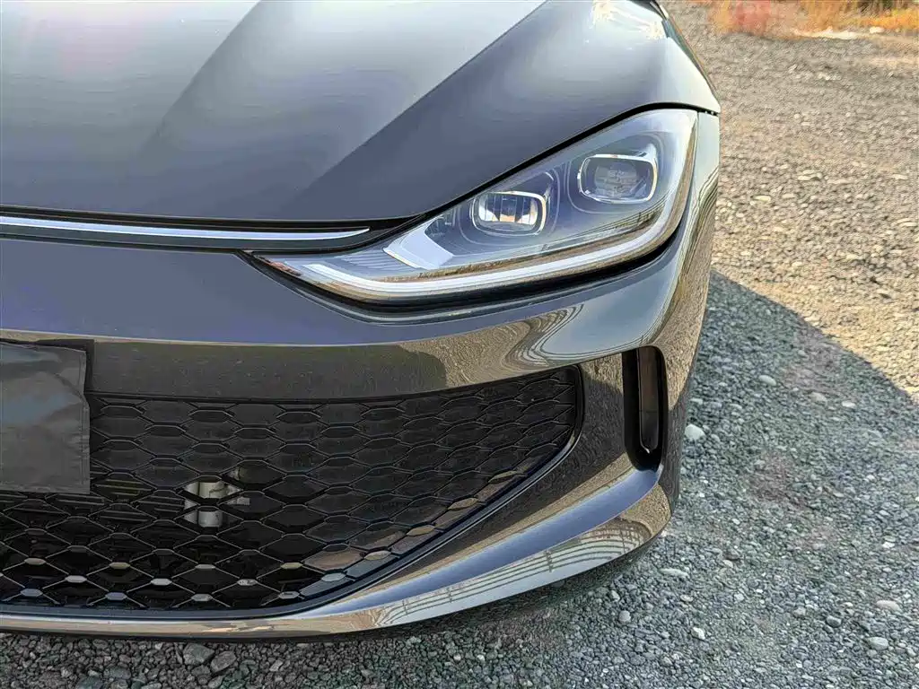 Volkswagen Lamando — миниатюра 13