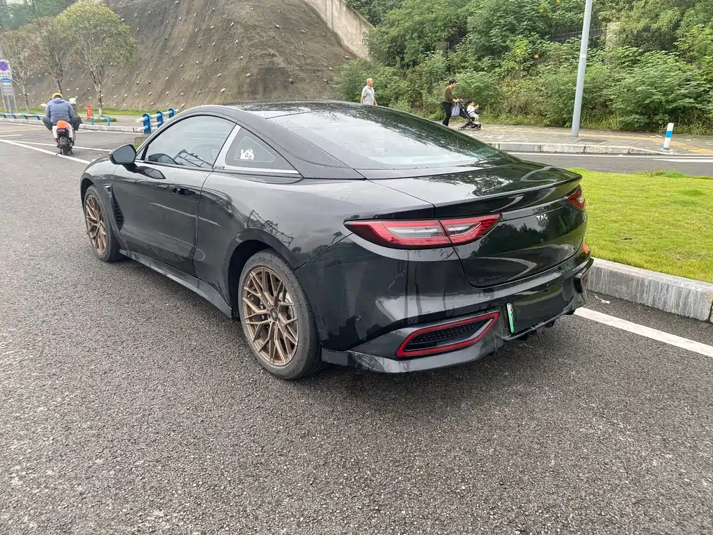 Neta Neta GT — миниатюра 8