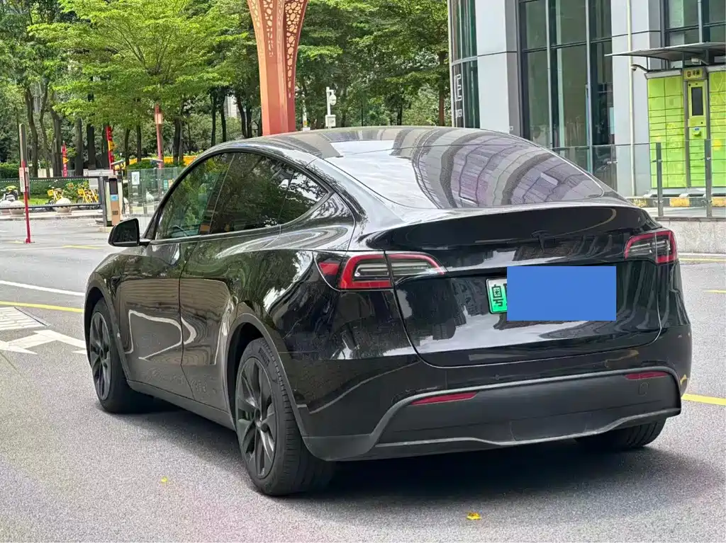 Tesla Model Y — миниатюра 4