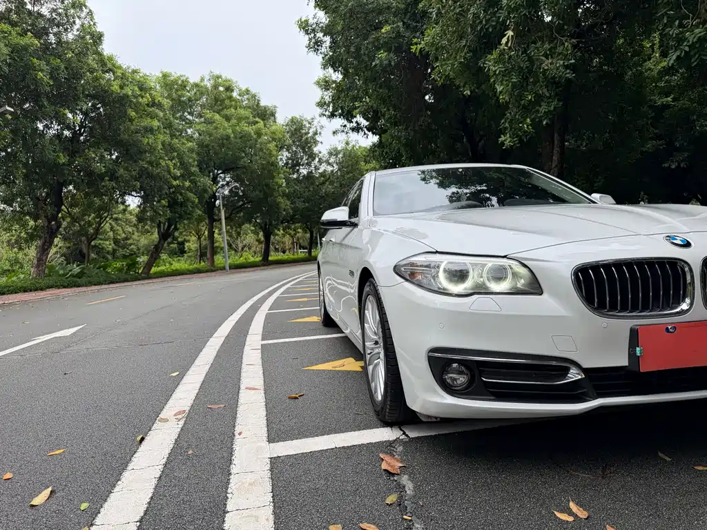 BMW 5 Series — миниатюра 31