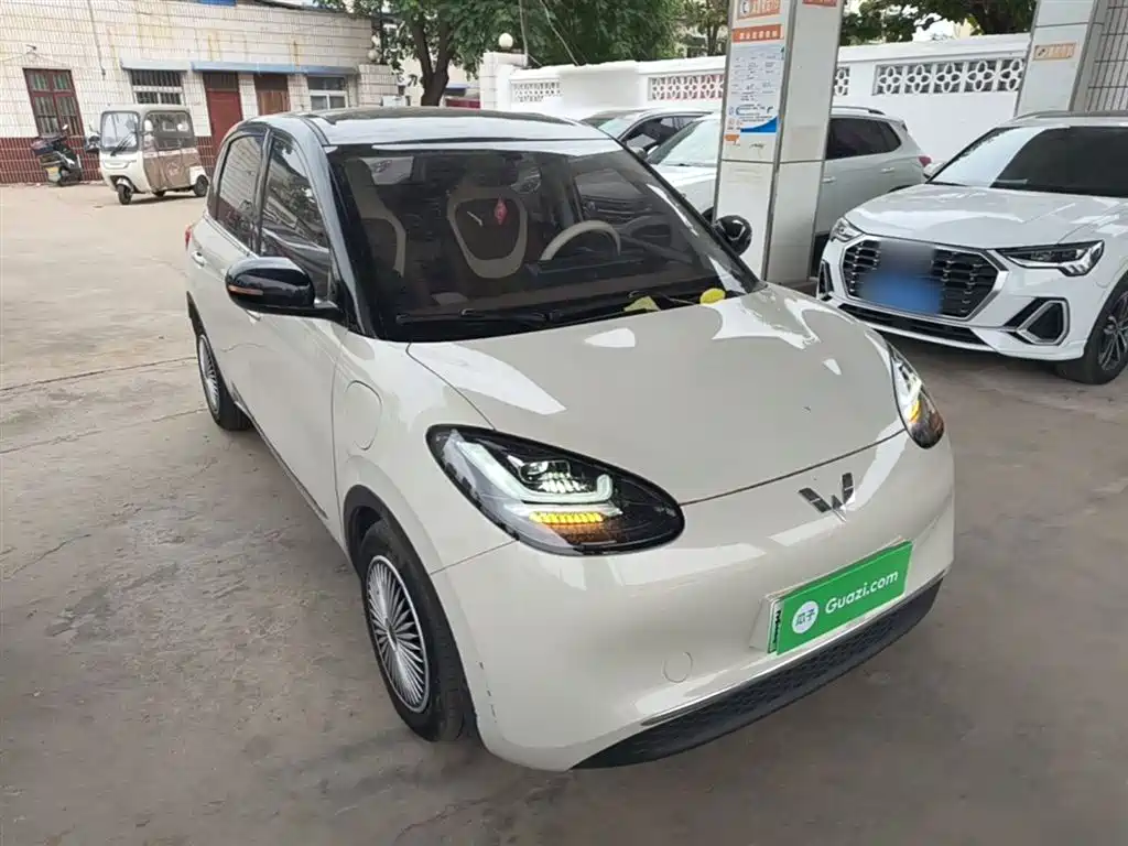 Wuling Binguo 2024 333km Enjoy