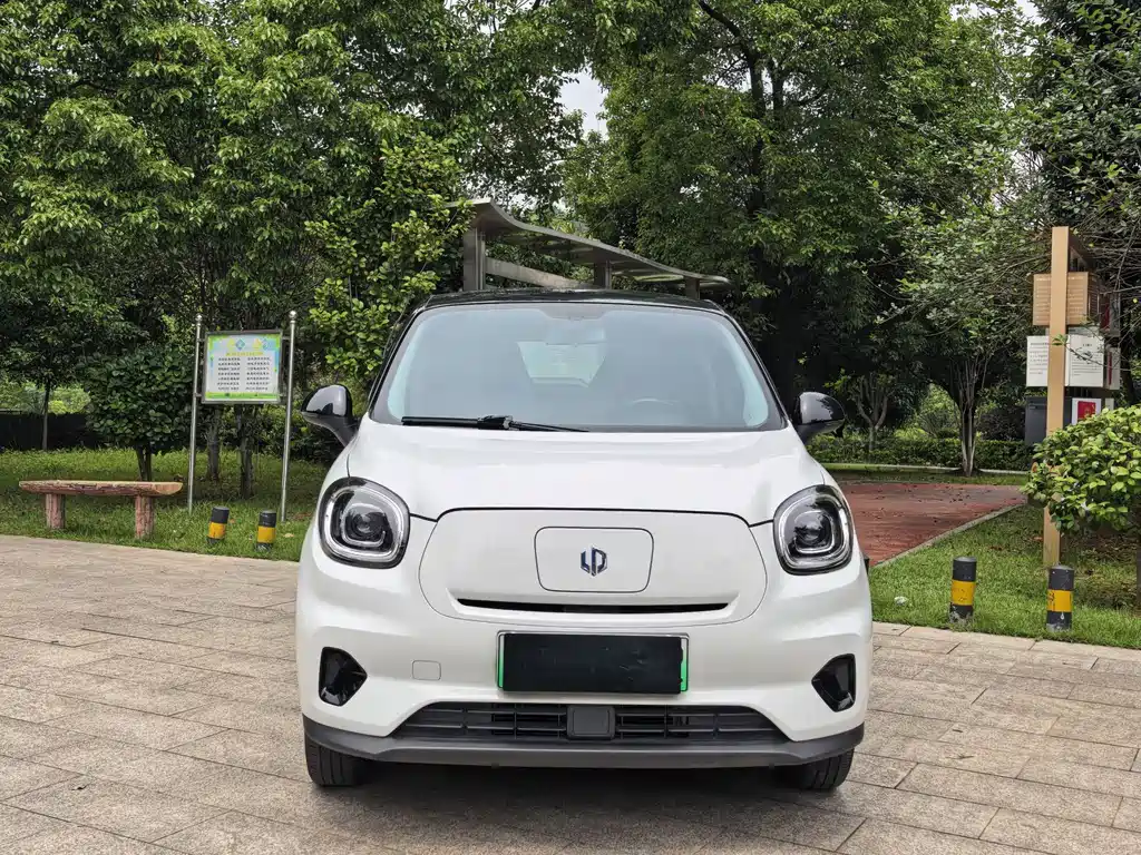 Leapmotor T03 2025 310