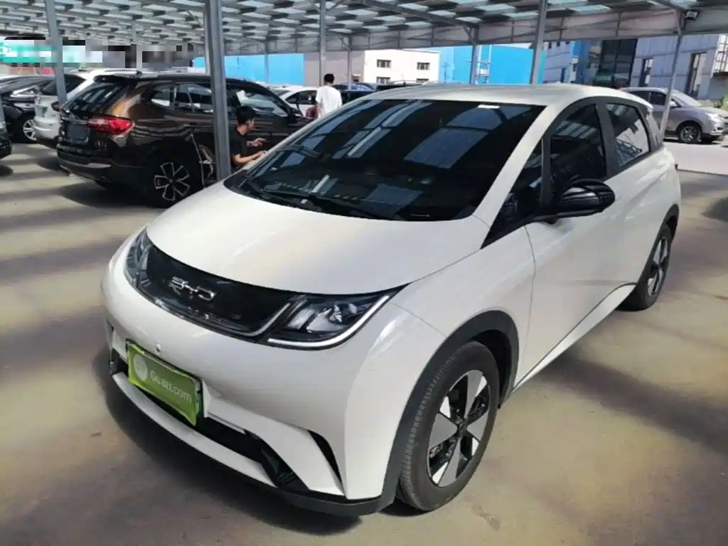 BYD Dolphin — миниатюра 2