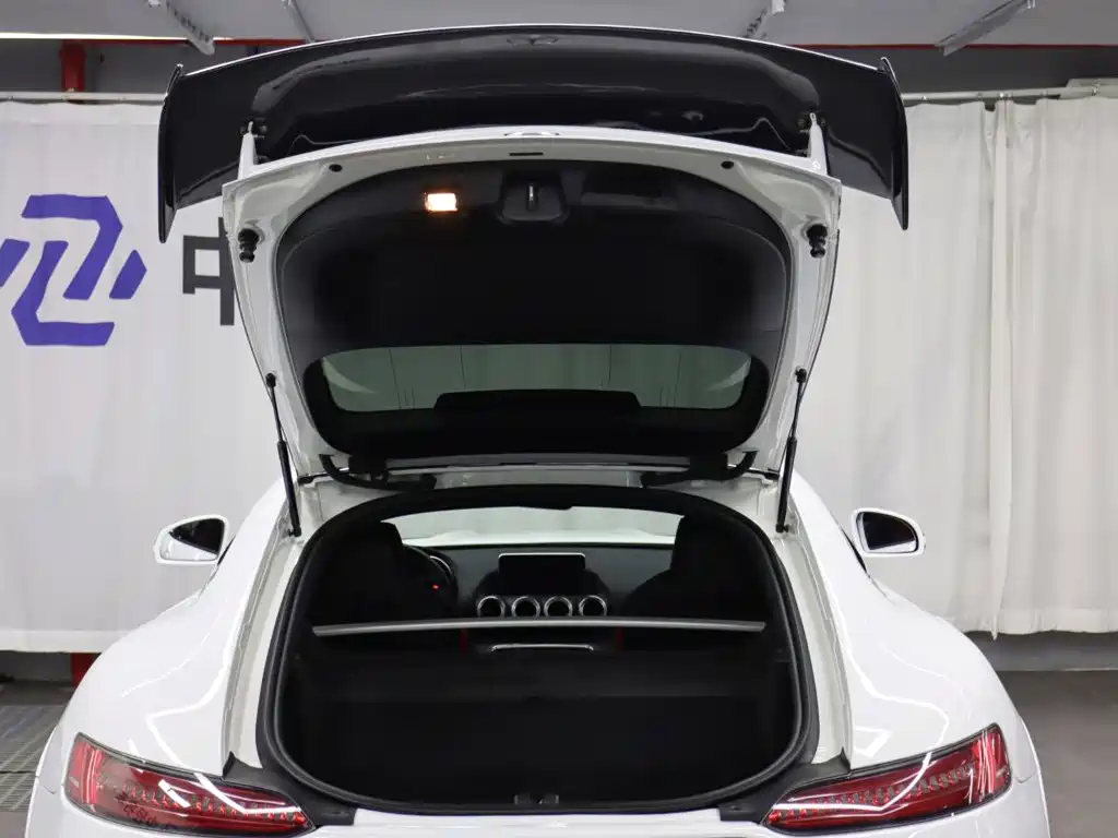 Mercedes-Benz AMG GT — миниатюра 28