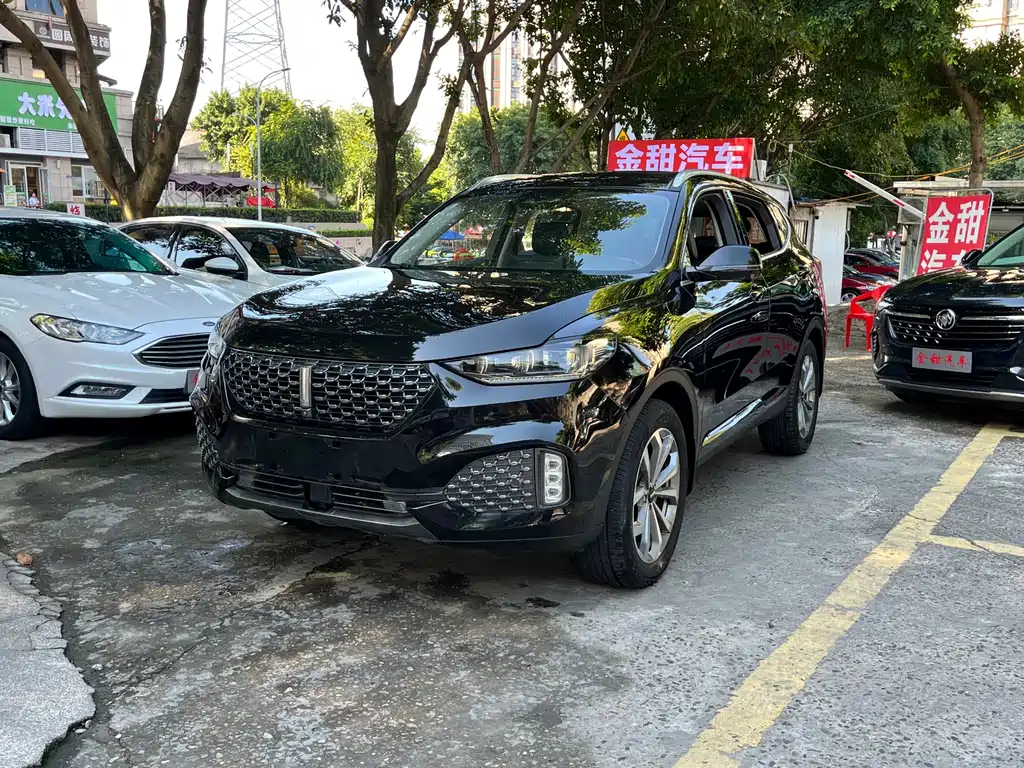 Wey Wey VV6