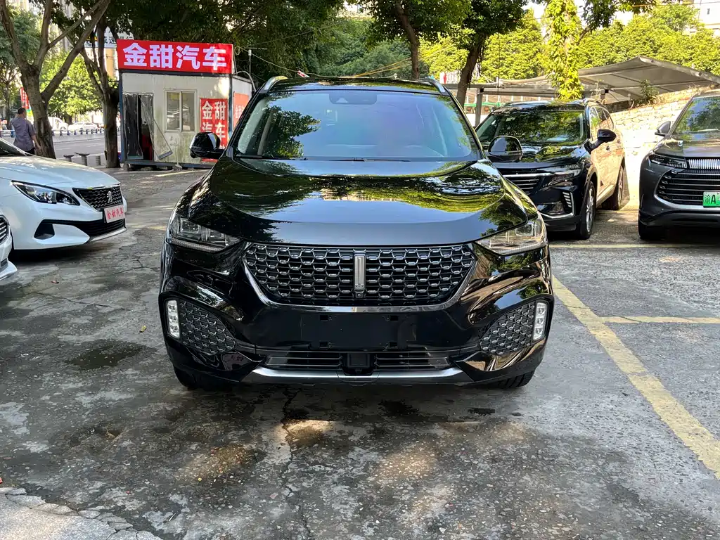 Wey Wey VV6 — миниатюра 2