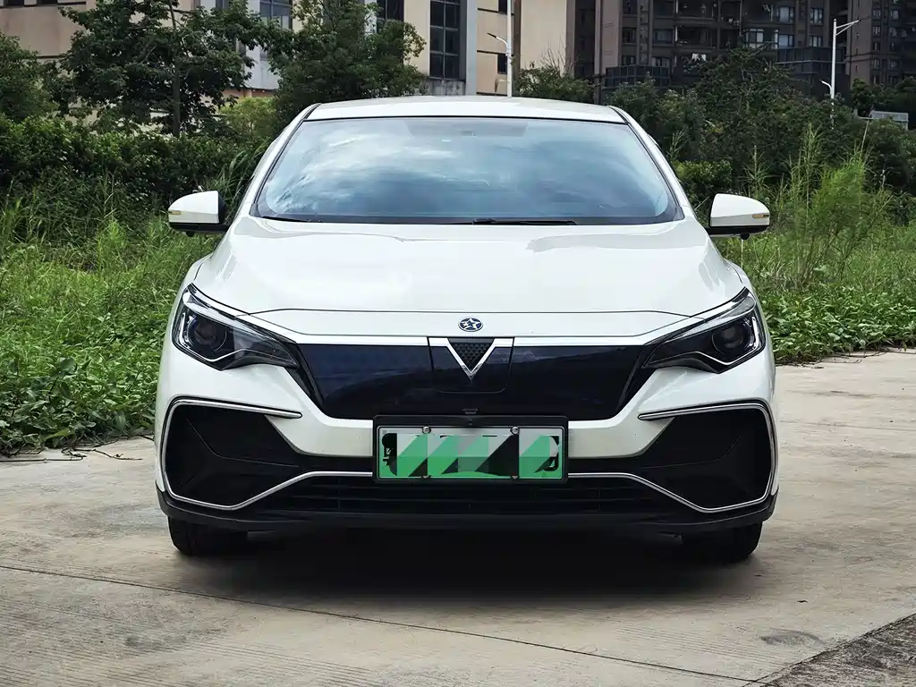 Venucia D60 EV — миниатюра 2