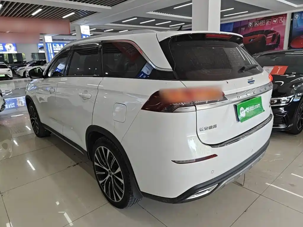 Oshan Oushang X7 — миниатюра 5
