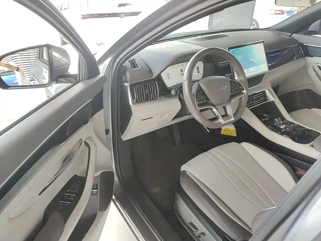 BYD PLUS New Energy — миниатюра 16