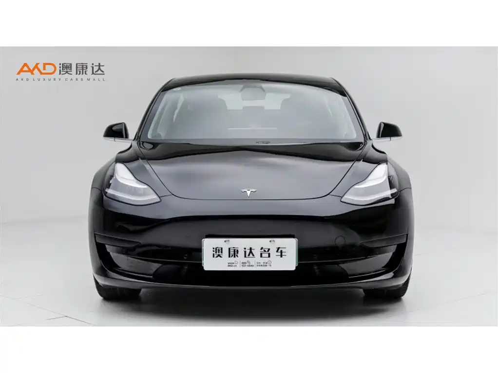 Tesla Model 3 — миниатюра 2