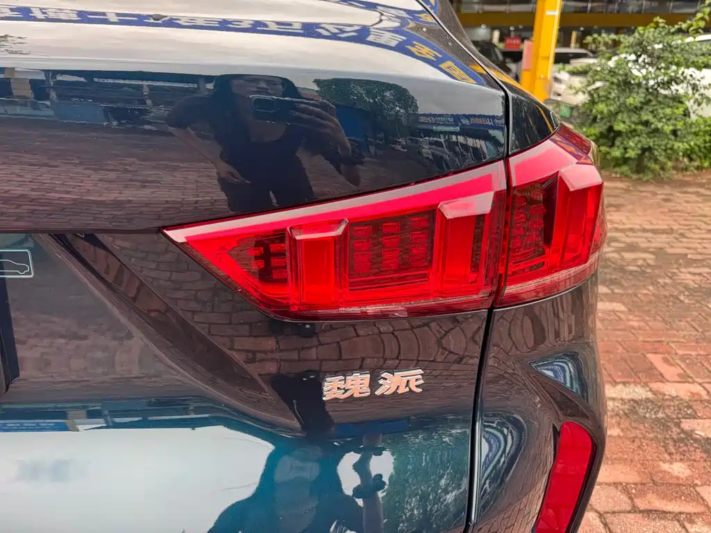 Wey Wey VV7 GT — миниатюра 20