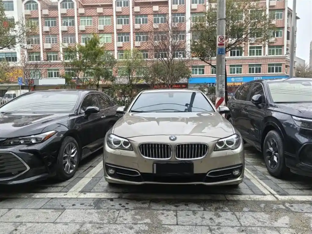 BMW 5 Series 5 2012 523Li Luxury