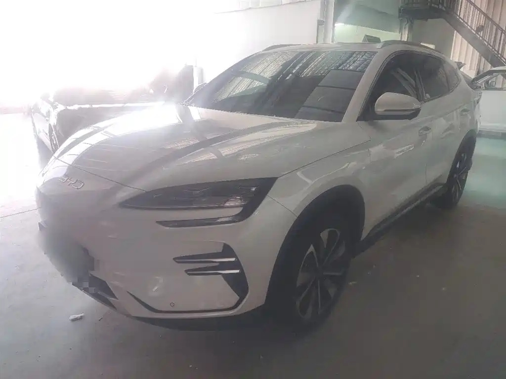 Byd PLUS New Energy 2024
