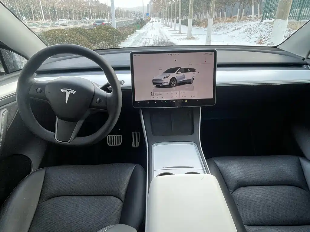 TESLA MODEL Y