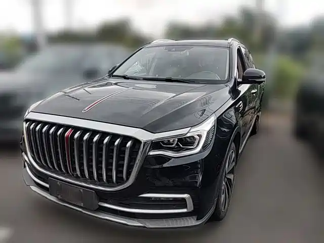 2020 Hongqi HS7