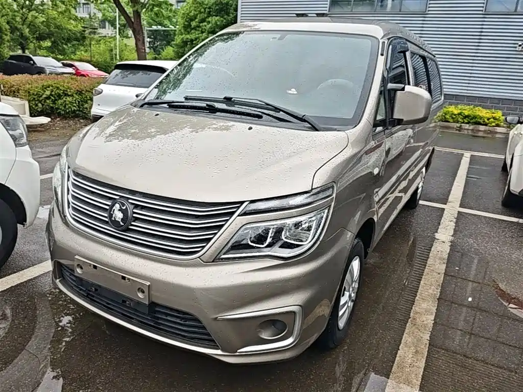 Fengxing Lingzhi 2022