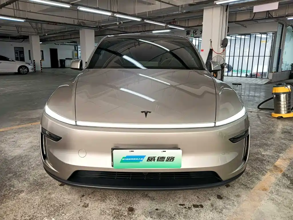 Tesla Model Y L — миниатюра 2