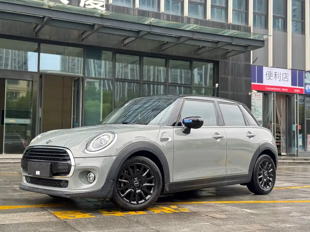 Mini Mini 2020