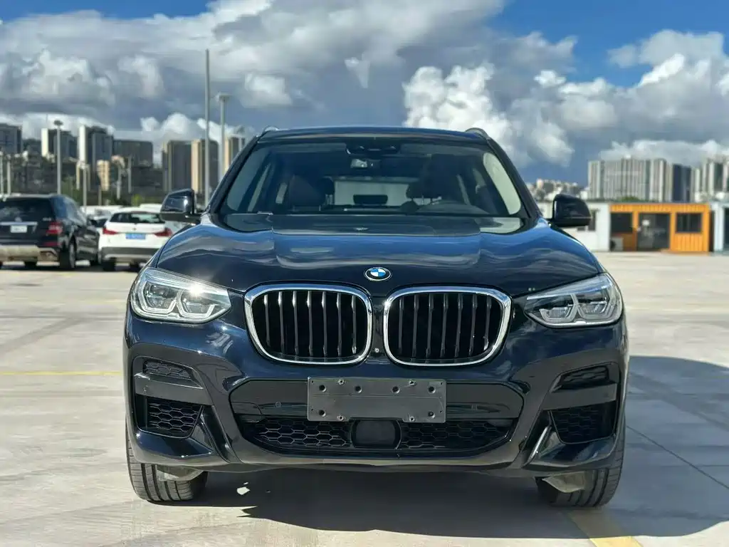 BMW X3 — миниатюра 2