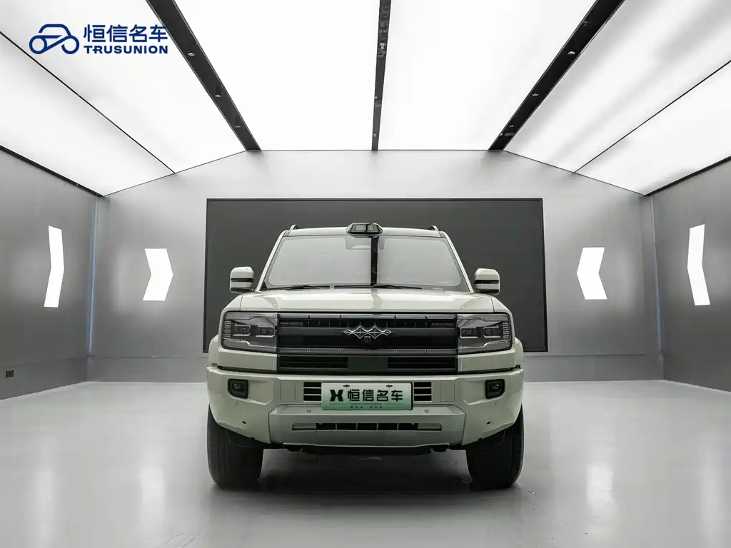 FANG CHENG BAO LEOPARD 5