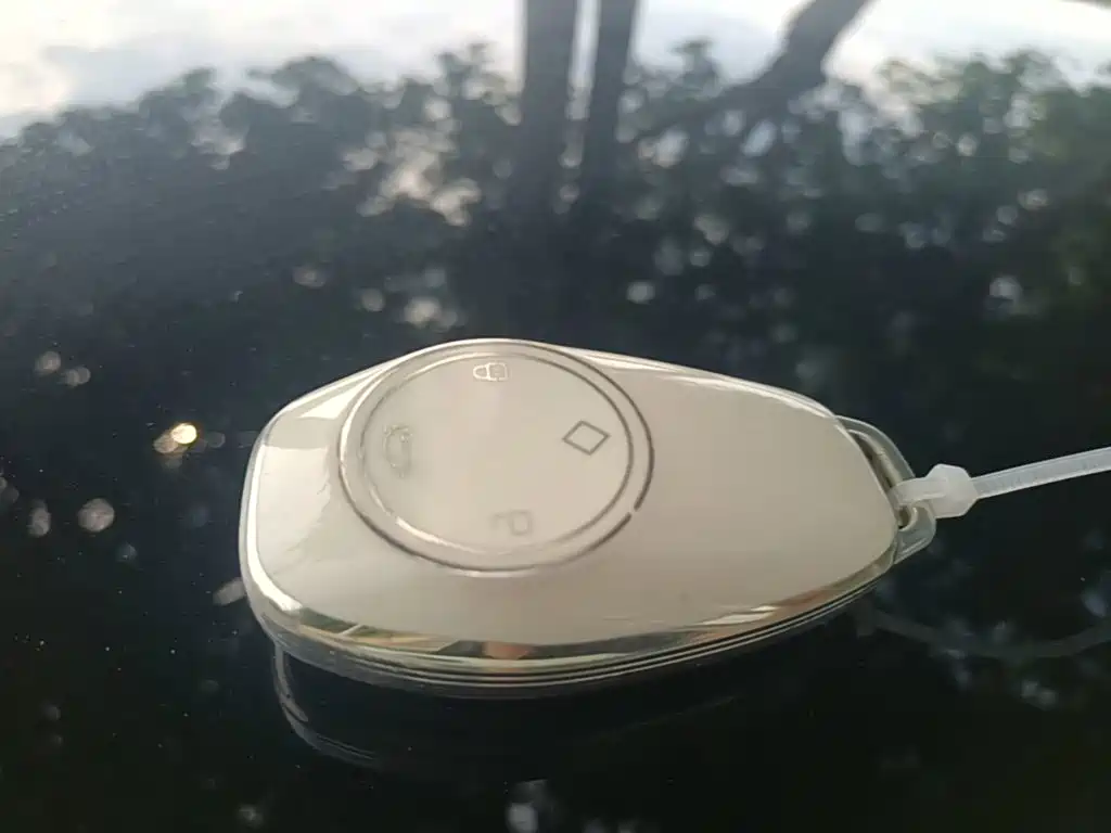 Leapmotor T03 2024 310