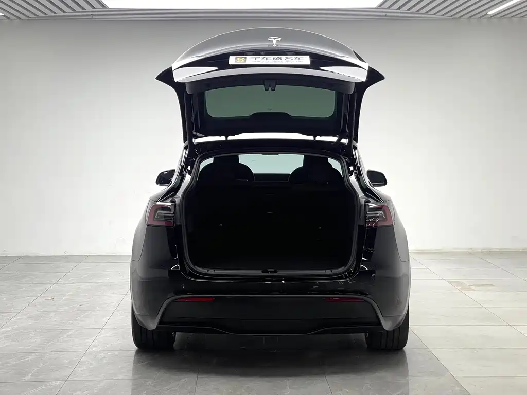 Tesla Model Y — миниатюра 10