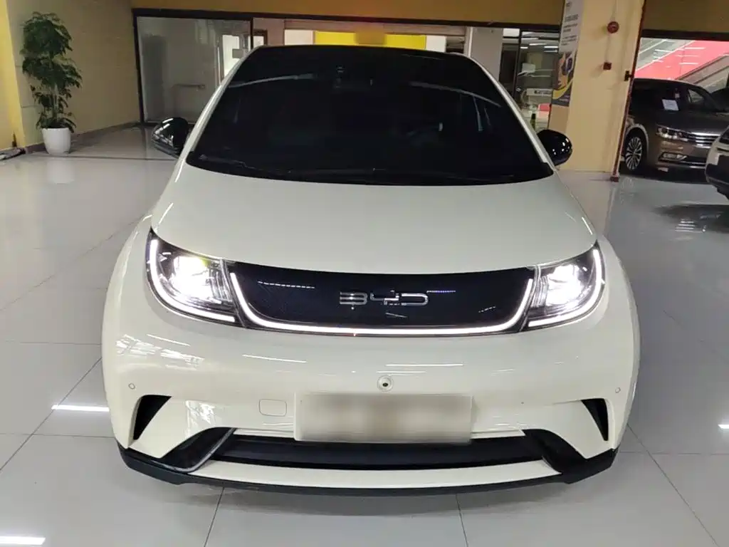 BYD Dolphin — миниатюра 3