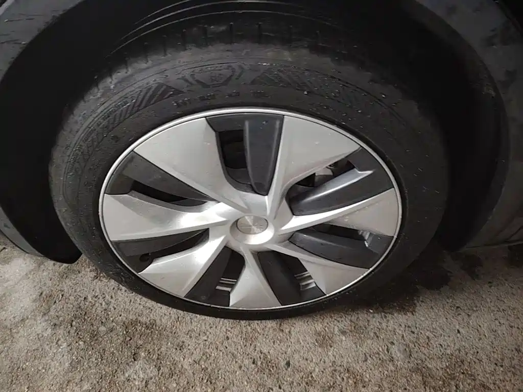 Tesla Model Y — миниатюра 23